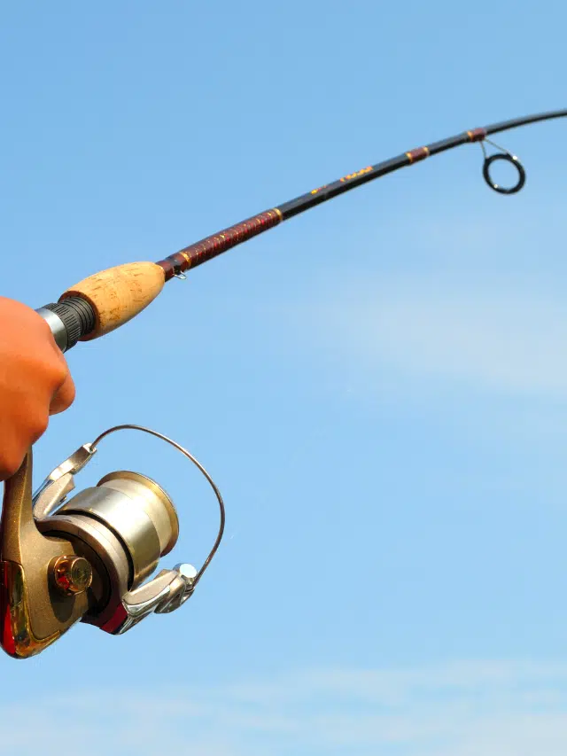 Fishing-rod-guide.png